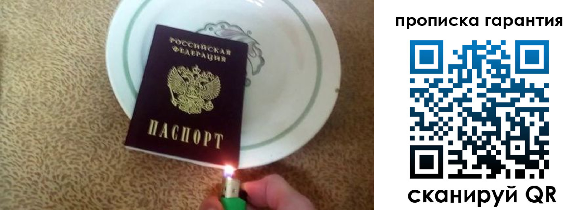 прописка гарантия в Цимлянске